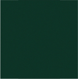 RAL 6005