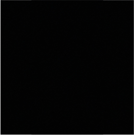 RAL 9005