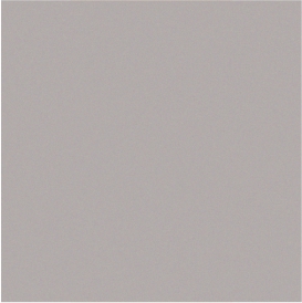 RAL 9006