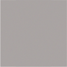 RAL 9007